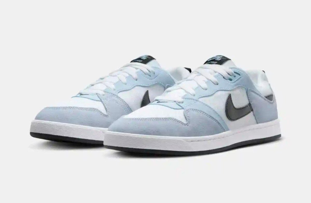 Faast 2 948pay With Credit Card Nike Sb Alleyloop Sneaker