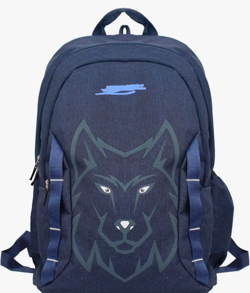 Amazon Basics 44l Backpack 331