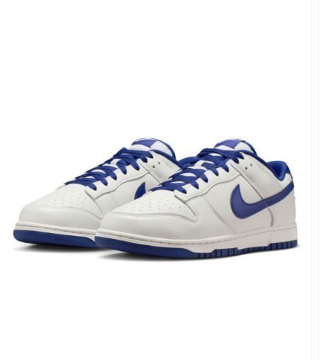 Nikedunk Low Retro Men S Shoes 5 599 Mrp 8 29