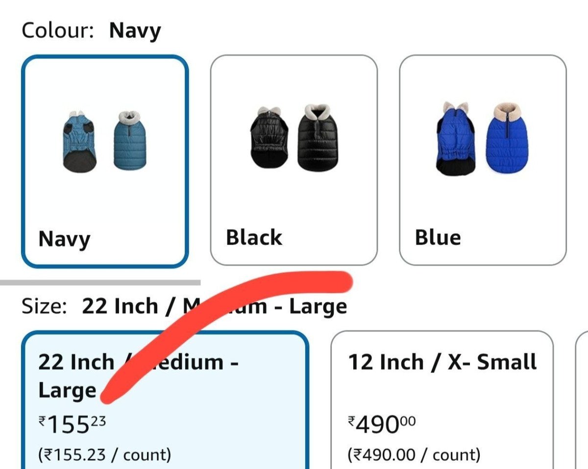 Faaaast Large Size Costs Less Than Small 155